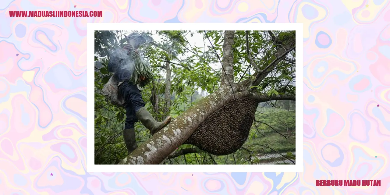 Berburu Madu Hutan