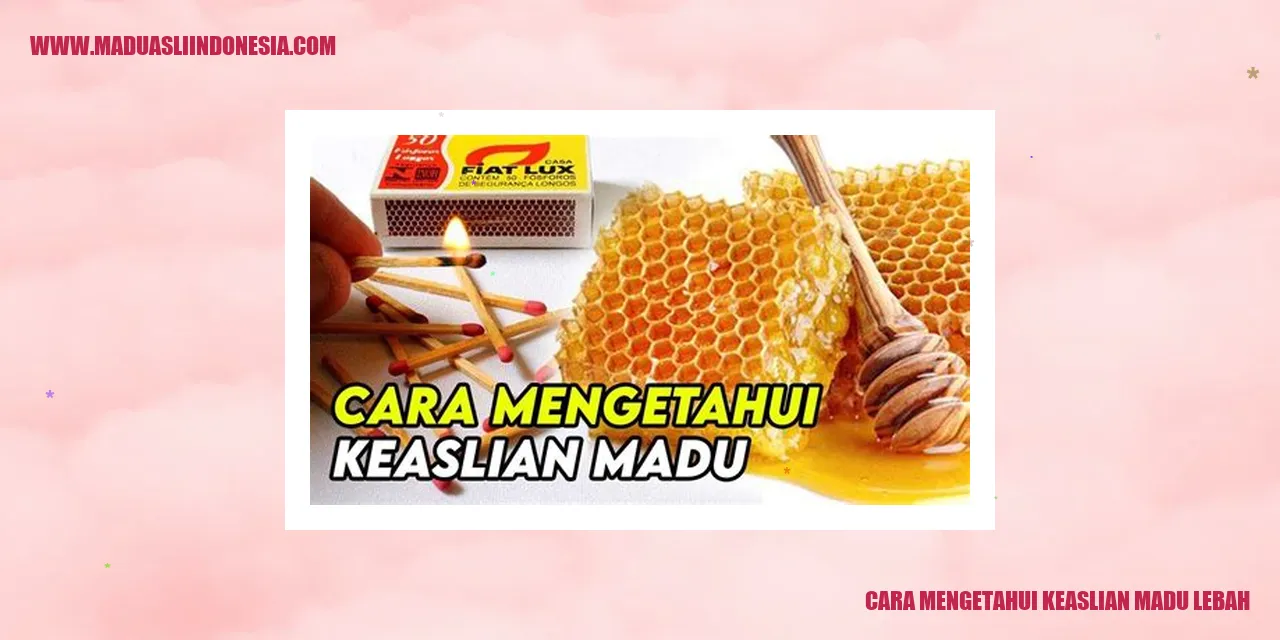 Cara Mengetahui Keaslian Madu Lebah