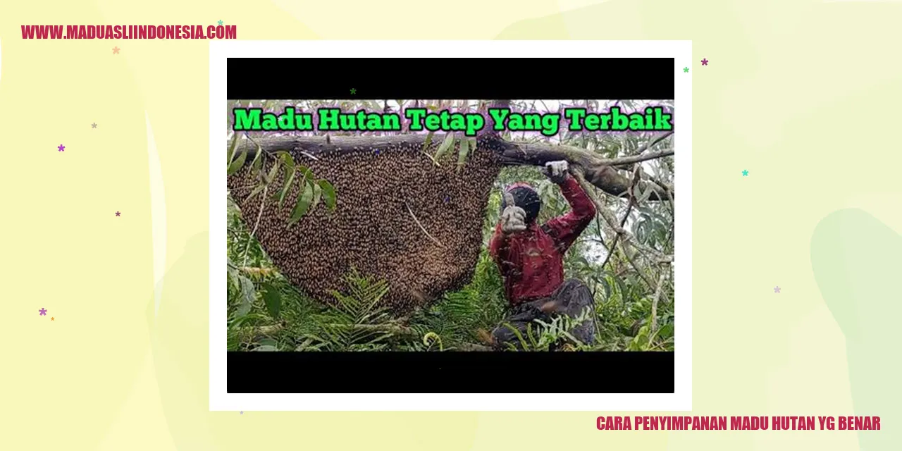 Cara Penyimpanan Madu Hutan yang Benar