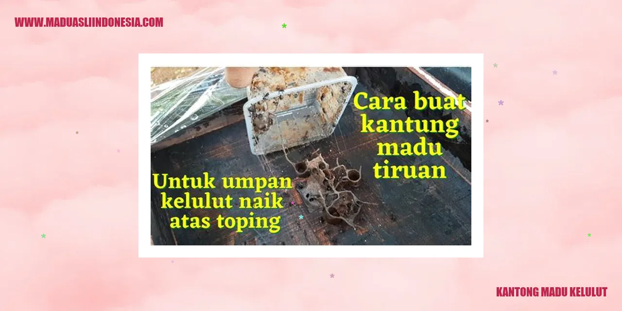 kantong madu kelulut