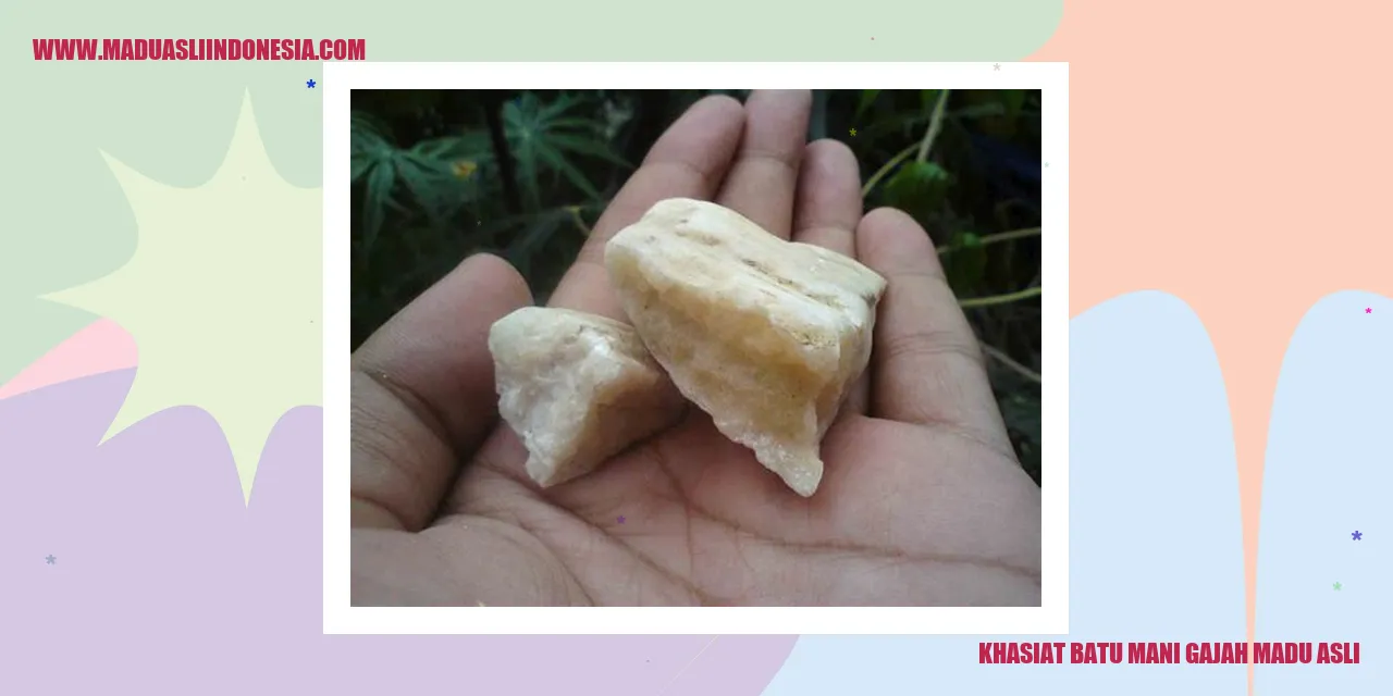 Batu Mani Gajah Madu Asli