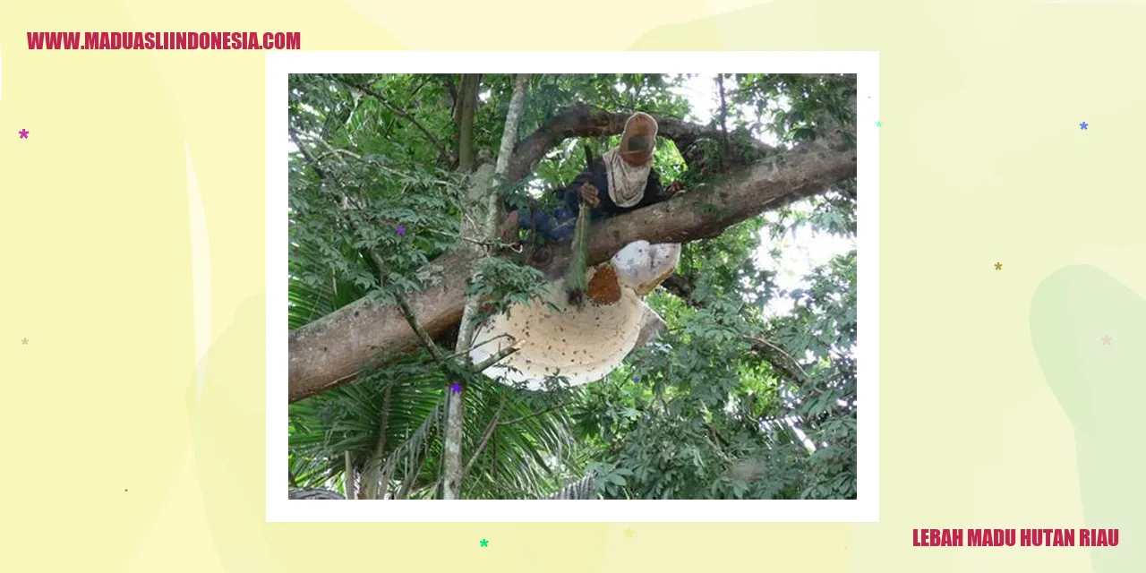 Lebah madu hutan riau