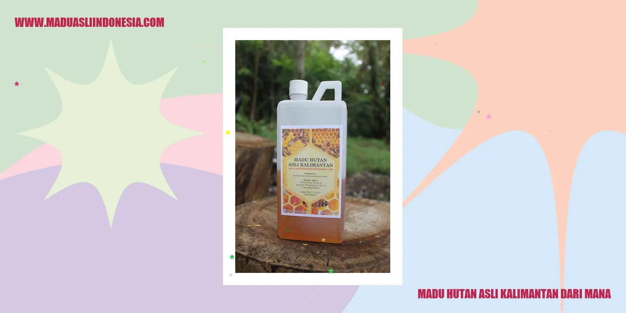 Madu Hutan Asli Kalimantan Dari Mana