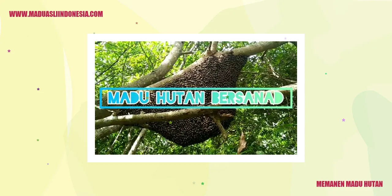 Memanen Madu Hutan