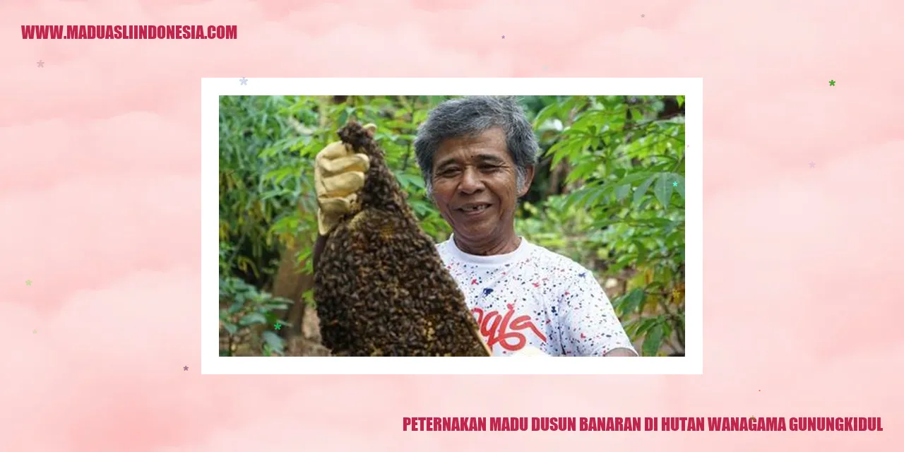 Peternakan Madu Dusun Banaran