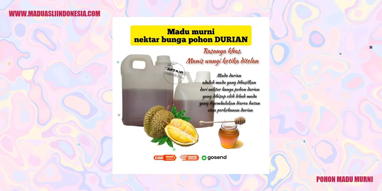 pohon madu murni